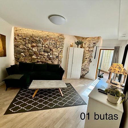 Six Apartment Simona 维尔纽斯 外观 照片